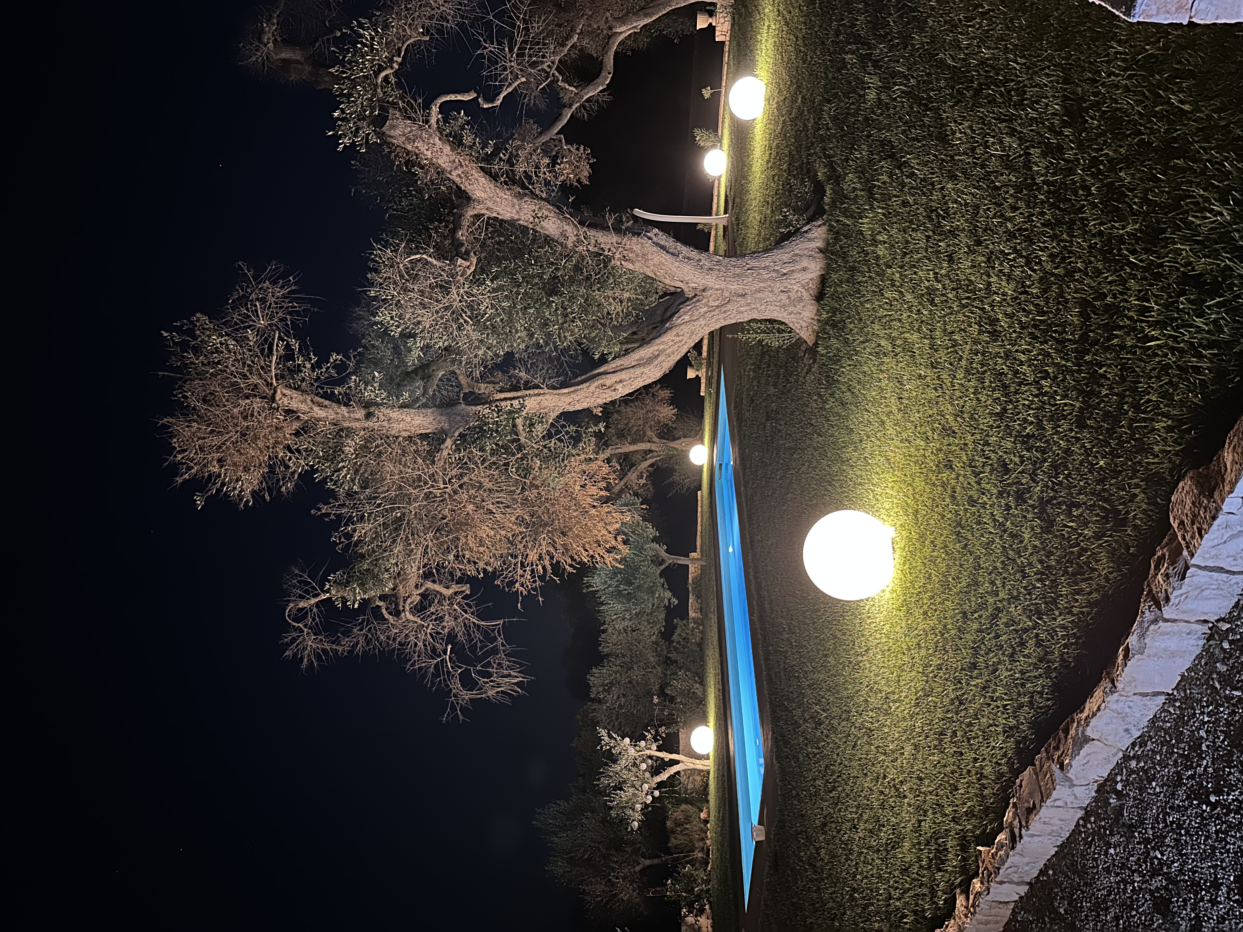 A hammock gently swaying between two olive trees.