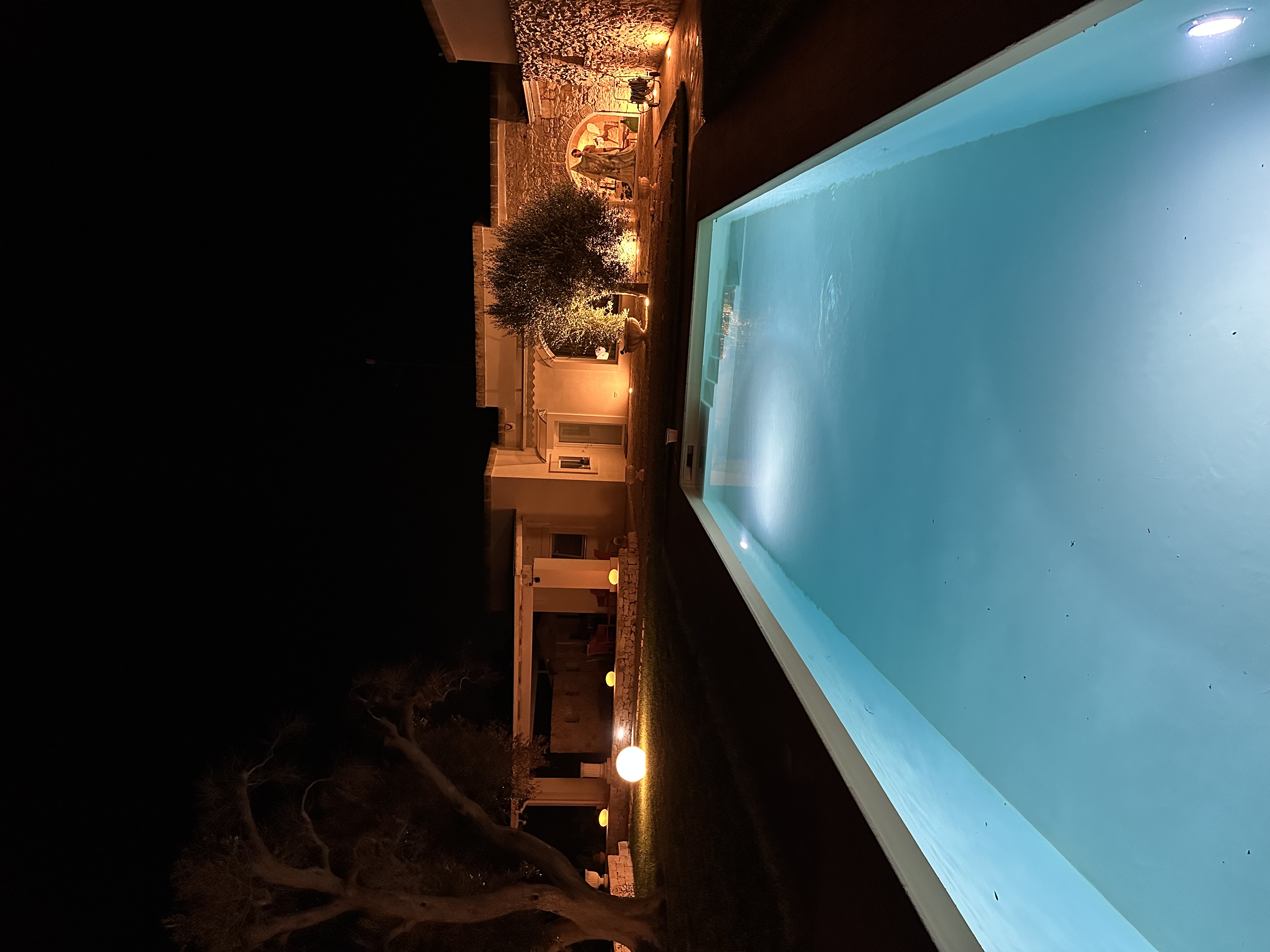 Fresh lemons and local produce on a kitchen counter.
