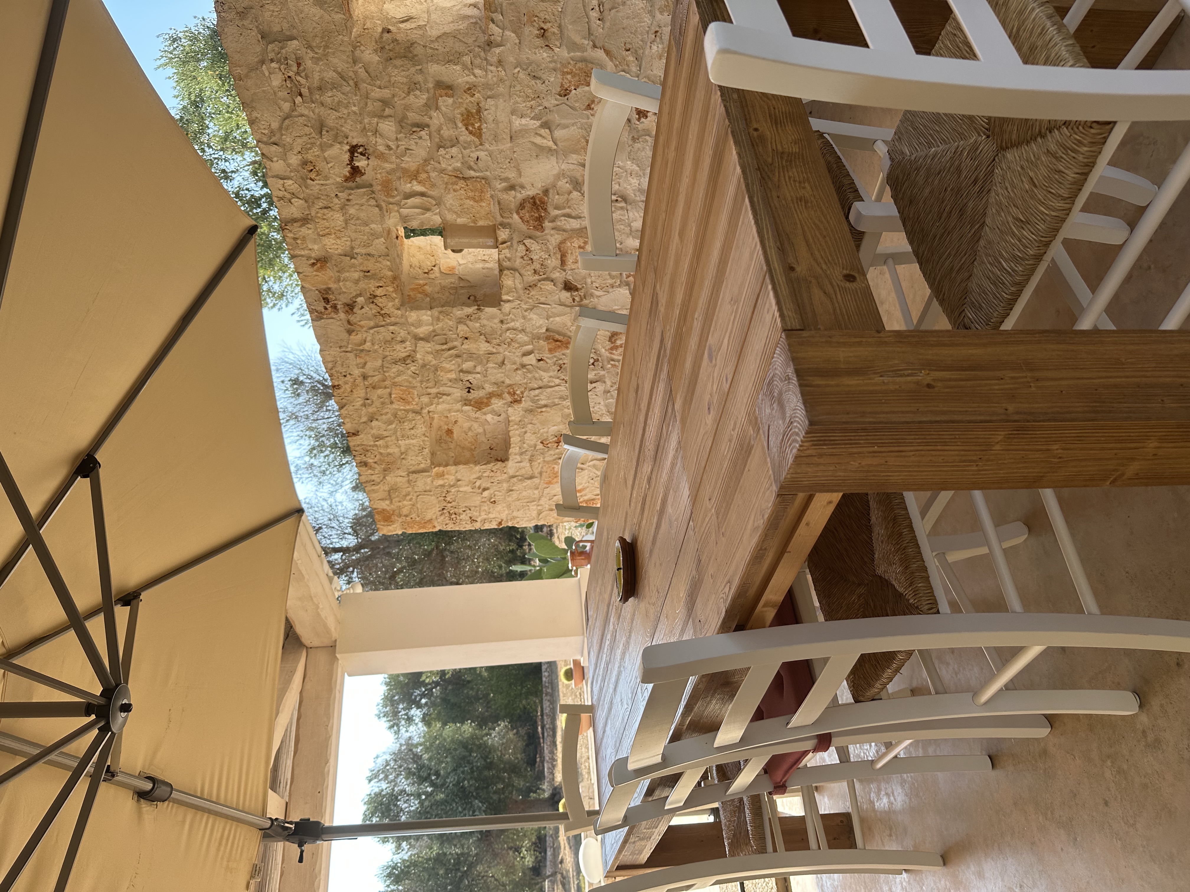 An aerial view of the villa and its pool.