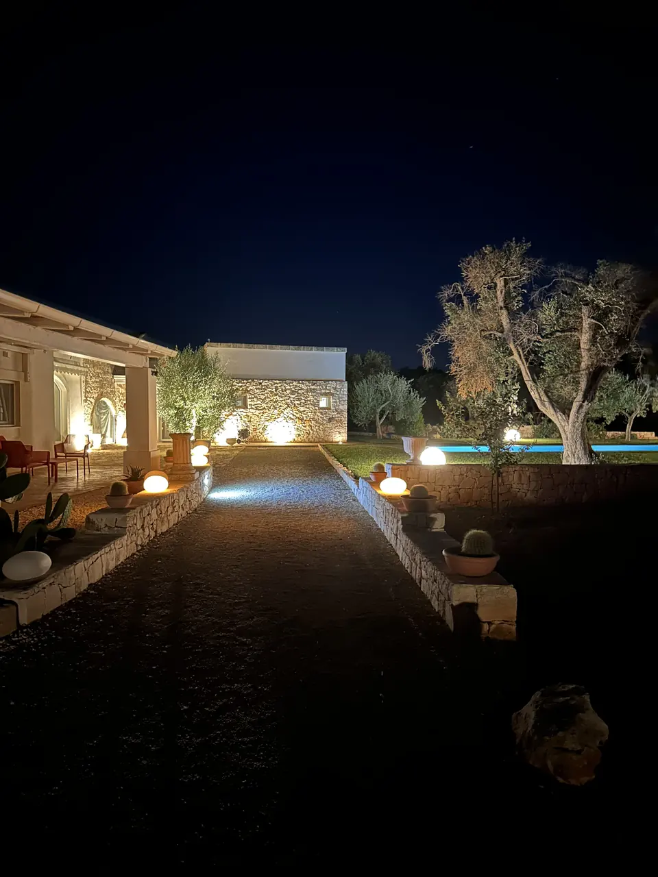 Garden path lit at night
