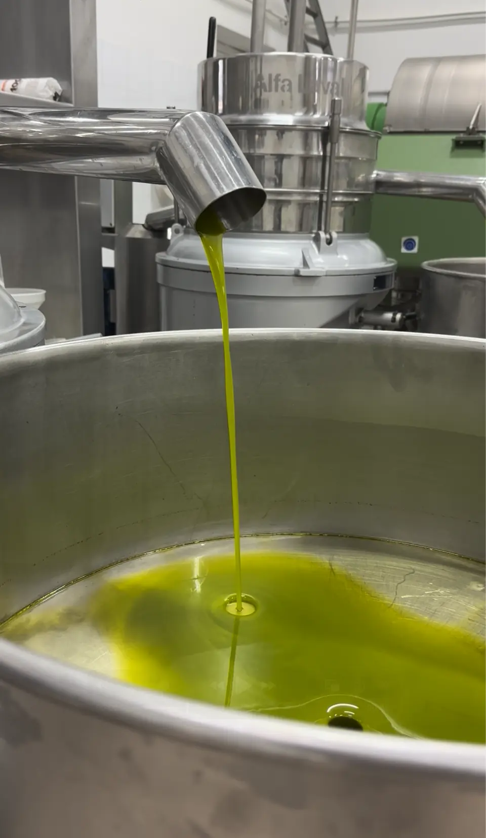 Freshly pressed extra virgin olive oil at the mill
